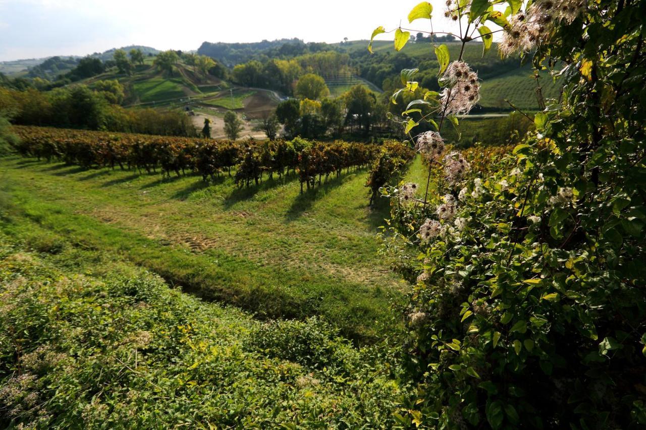 Agriturismo Trerè Faenza Extérieur photo